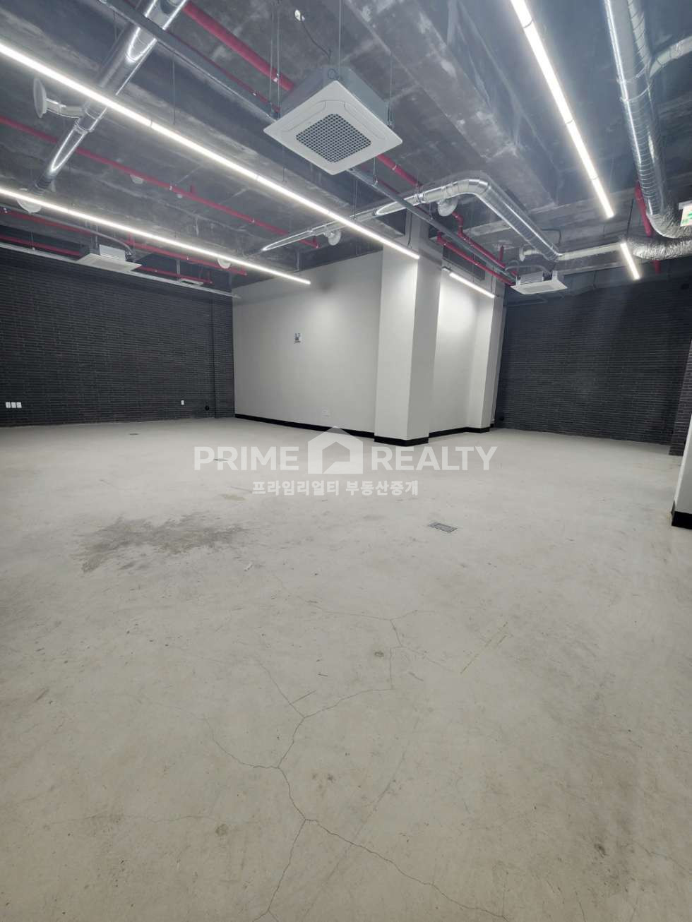 서울 강남구 역삼동 역삼동 스튜디오 임대 전용50평 층고4.6M 강남스튜디오임대 강남사무실임대 월세 매물번호 10660 사진 6